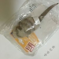 贵为猫咪玩具仿真小老鼠发声宠物用品解闷自嗨小鸟磨牙逗猫棒玩具 炫律猎物老鼠/猫和老鼠你爱谁x1