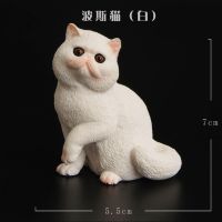 儿童仿真动物园塑胶实心猫模型玩具小猫咪猫波斯猫男女孩礼物摆件 小号波斯猫(白)