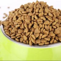 无偿领养金毛幼犬拉布拉多宠物狗狗活幼体小狗幼犬活物金毛幼犬狗 狗狗(试用装狗粮) 公