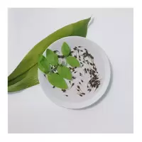 宠物蝌蚪 活体青蛙苗 小蝌蚪找妈妈 水族观赏宠物 小蝌蚪活体 蝌蚪饲料2袋