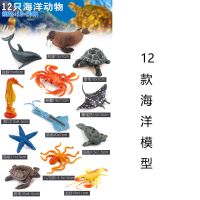 仿真海洋生物软胶玩具模型海底世界海豚大白鲨鱼类套装益智动物 环保亏本12款海洋模型