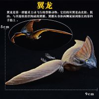 实心大号仿真恐龙玩具模型套装暴虐迅猛龙霸王龙牛龙儿童玩具男孩 翼龙(实心)