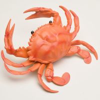 仿真螃蟹虾软胶海洋动物模型 大闸蟹 儿童早教认知玩具发声螃蟹 新款大号螃蟹[20*17cm]
