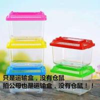 小仓鼠活体宠物一只仓鼠宝宝幼崽仓鼠用品仓鼠笼子玩具宠物包活 单拍运输盒 性别:公