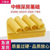 中蜂巢础片深房蜂巢蜂蜡蜂箱养蜂工具蜜蜂巢脾巢基雄蜂巢皮 中蜂巢础 10张试用 送1个王笼4个放跑片1包巢虫清木片