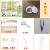 蚕宝宝活物学生养蚕套装蚕宝宝卵大小蚕 工具齐全 送新鲜桑叶 20粒蚕卵套装