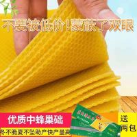 巢础 蜜蜂巢础 巢础片 中蜂巢础 蜂巢基 蜡片蜂具养蜂工具 优质中蜂巢础+巢虫清木片2包