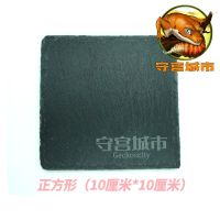 守宫城市推荐爬宠爬虫蜕皮磨皮指甲辅助岩石板豹纹蜥蜴加热底垫材 岩板小号正方(1个装)