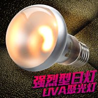 沙漠型爬宠UVA日灯夜灯加热灯鬃狮蜥蜴爬虫龟箱晒背补钙加温保温 质保30天(不要接温控) 沙漠日灯25W