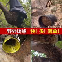 诱蜂水神奇招蜂水蜜蜂信息素养蜂捕蜂野外土蜂中蜂引蜂水养蜂工具