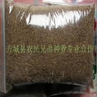 独角仙幼虫L3 成虫 甲虫新手套餐活体易养热门特宠异宠物果冻台 发酵木屑(普通)2升