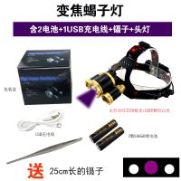 超亮蝎子灯专用紫光灯 捕蝎强光头戴式充电头灯照 捉抓找逮捕蝎子 变焦蝎子灯2电1线