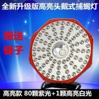 头戴式led蝎子灯 捕蝎专用强光超亮充电紫光灯捉照逮抓蝎子豆虫灯 81灯珠+送专业镊子(高亮版)