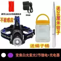 蝎子灯捕蝎充电紫光超亮强光头灯照蝎子灯捕蝎灯专用充电头戴式 变焦紫光白光2节锂电+直充