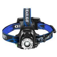 蝎子灯专用捕蝎紫光超亮抓捉照蝎子灯白光头戴式强光手电充电头灯 蝎子照明灯[送镊子]感应一电一充普通