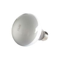 宠物加温灯 保暖灯加热灯陆龟蜥蜴蛇 白灯 夜灯 爬宠加热买2送一 白灯25瓦