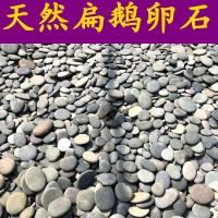 乌龟晒台石头 天然 扁平小鱼缸装饰造景石天然鹅卵石庭院铺路新款 5-8厘米9斤