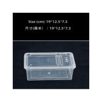 宠物饲养盒九龙虫活体爬虫饲养盒蜘蛛蝎子守宫蜥蜴乌龟角蛙饲养箱 小号19.5*12.5*7.5