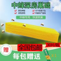巢础蜜蜂巢础蜂巢基中蜂巢础巢础片意蜂巢础巢础蜡片30片蜂具 优质中蜂深巢巢础一包30片