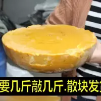 诱蜂蜡诱蜂桶诱蜂水招蜂水收蜂袋蜂蜡诱捕野外蜜蜂用收蜂笼招蜂桶 250g诱蜂蜡（不送书）