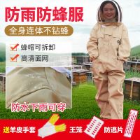 防蜜蜂衣服 全套透气防蜂服 防雨抓蜂防护服养蜂捉蜂专用工具峰衣 防雨款 M码（150-165CM） 买就送羊皮手套+王笼