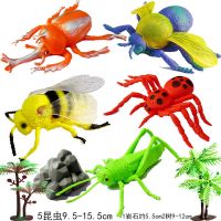 昆虫玩具仿真动物模型蜘蛛蚂蚁蜜蜂塑胶模型玩具儿童早教玩具教具 大昆虫+岩石植物套餐