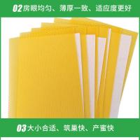 蜜蜂巢础中蜂深房巢础片蜂蜡巢基中蜂巢脾意蜂巢础蜂箱养蜂工具 5张试用装 中蜂巢础