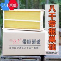 八千巢础中蜂意蜂巢础片蜂蜡深房巢脾蜜蜂巢基中意蜂蜂脾养蜂工具 八千中蜂成品巢框10个装