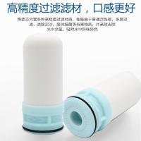 水龙头过滤器自来水家用净水器过滤芯通用西门子一号泉家用滤水器 凹槽升级款[ 2支体验装]