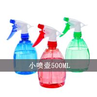 园艺浇花喷壶喷雾瓶园艺家用洒水壶喷雾器小型压力浇水壶喷水壶 500ml喷壶