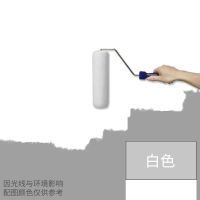 水性硅藻泥涂料硅藻乳电视背景墙乳胶漆墙面漆吸音去甲醛安全环保 500g 白色
