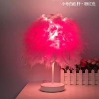 现代简约创意羽毛灯卧室床头装饰小夜灯喂奶灯婚庆礼物调光台灯 小号白色杆直杆-粉红色 按钮开关-暖光