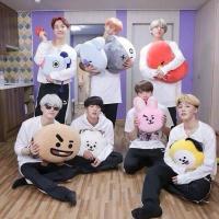 bt21防弹少年团BTS金泰亨V爱心枕玩偶生日礼物毛绒玩具女生 饼干 小号:30厘米-40厘米