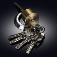 外装门锁家用老式防盗锁大门锁房门锁室内铁门木门锁不锈钢门锁芯 纯铜锁芯--单个锁芯 【只需锁芯】