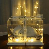 生日礼物女生闺蜜情人节送情侣女朋友同学少女心仿真萌宠礼物 小狐狸精美礼盒18*18*12