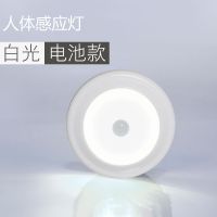 智能人体感应小夜灯LED声控灯家用光控充电池式款家用过道楼道 【特惠】感应电池款白光