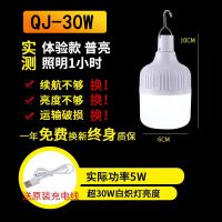 停电应急灯夜市摆摊移动充电灯泡家用节能地摊灯露营超亮LED灯泡 超30W体验款[照明1小时]