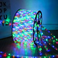 LED彩灯带彩灯闪灯串灯户外防水节日婚庆装饰灯七彩变色霓虹灯条 彩色自动闪烁2米+插头