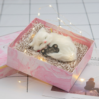 生日礼物送女朋友闺蜜女生特别走心创意实用520情人节仪式高级感 小号波斯猫+灯+diy刻字+ins礼盒