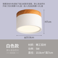 明装筒灯北欧 吸顶灯走廊灯过道灯阳台灯家用射灯led天花灯嵌入式 白色-5W自然光