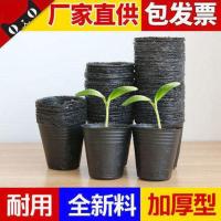 营养钵一次性加厚花盆育苗袋育苗杯种植黑色育苗盆大塑料 型号6.5X6.5 500个