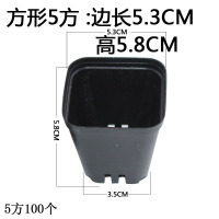 多肉种植万象花盆小方育苗杯塑料小黑方6/7cm100个加厚款 黑色5方100个 中等