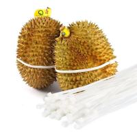 扎榴莲尼龙扎带水果店专用5*650宽4.8mm 代替皮筋易拉 100条装 10*650宽4.8 100条装