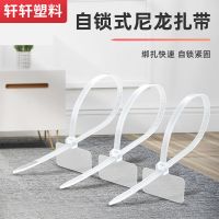 新品国标尼龙标签扎带电缆网线记号标牌吊牌吊卡塑料扎线带250条 3*100 宽2.5mm 250条