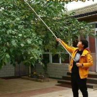 摘水果采摘器苹果枣柿子高空摘果器摘果神器多功能采果伸缩杆加长 2.1米白杆.送镰刀.钩子.布袋 铁镀锌摘头