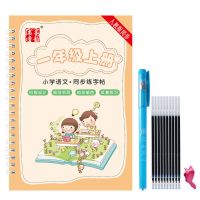 一二年上册下册同步练字帖儿童楷书小学生笔画笔顺汉字写字本贴 一年级上册1本[特惠版] 送1支笔杆10支笔芯1个握笔器