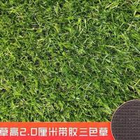 仿真草坪地毯人工草皮墙面人造幼儿园户外塑料绿色阳台装饰假草坪 2.0cm草高背胶款