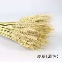 天然小麦麦子麦穗干花餐厅会所装饰客厅摆设开业大麦花束拍摄道具 原色小麦穗100棵