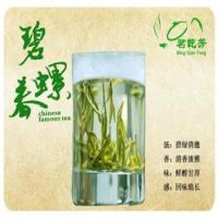 日照绿茶苗北方茶树苗茶叶苗抗寒抗旱适合北方茶区茶苗五棵 碧螺春茶苗 (1年苗10颗装)