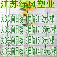 1头3头.5头单头仿真太阳花向日葵仿真花落地假花客厅桌面摆放花卉 大5头向日葵